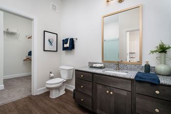 a bathroom with a mirror and a toilet and a sink
